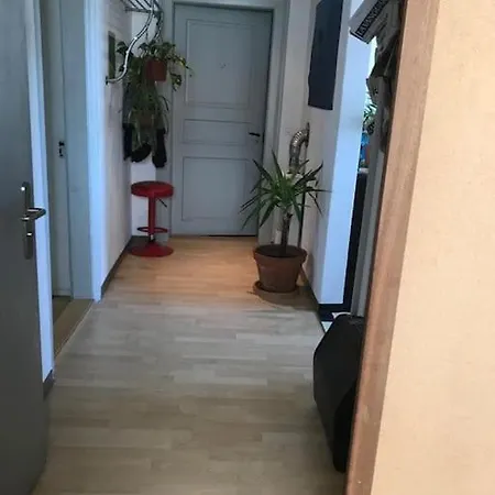 Apartment Einfache 15 Min Vom Bahnhof St. Gallen