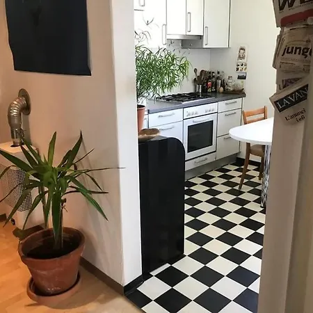 Einfache 15 Min Vom Bahnhof Apartment St. Gallen